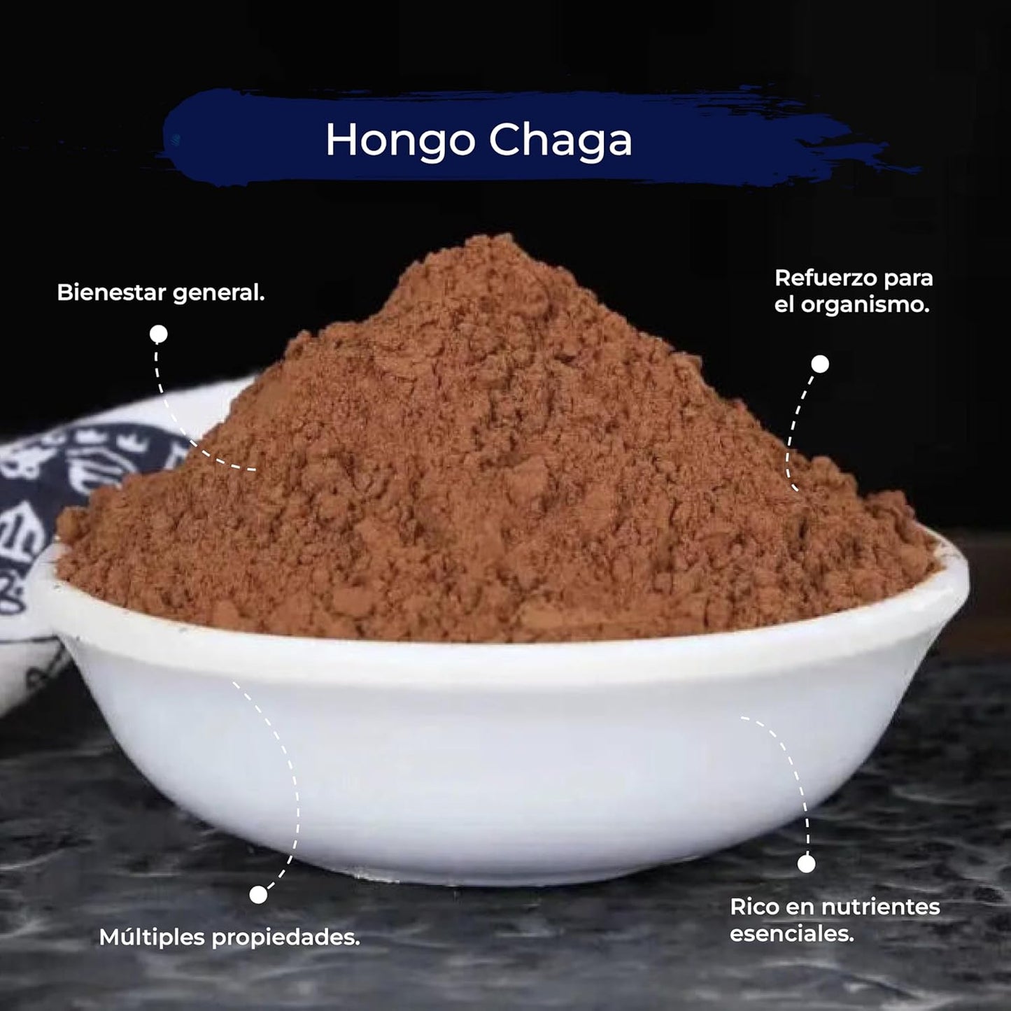 Chaga