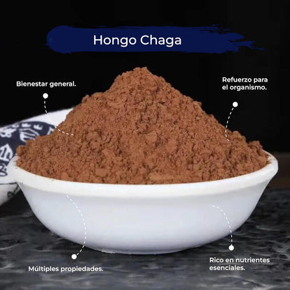 Chaga