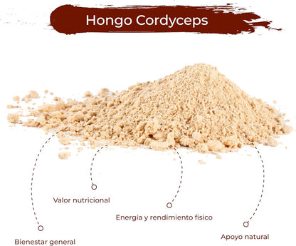 Cordyceps